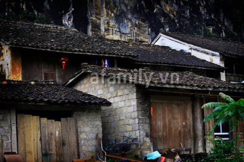 kinh-nghiem-di-du-lich-tet-o-ha-giang-6