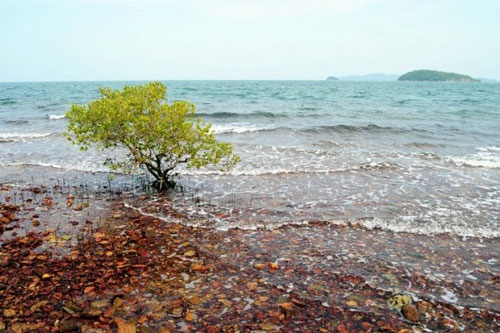 kinh-nghiem-du-lich-quan-dao-ba-lua-hoang-so-cua-tinh-kien-giang-4