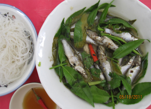 la-vi-ca-linh-kho-la-coc-non-3