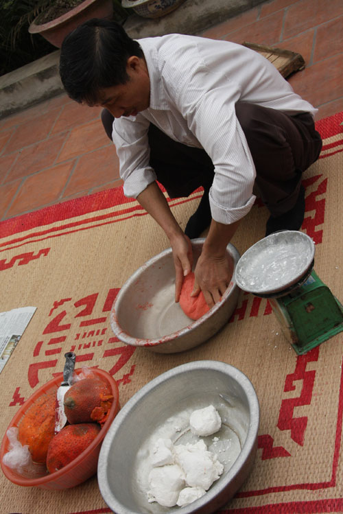 lam-banh-bac-dac-san-lang-giang-xa-don-tet-ve-1