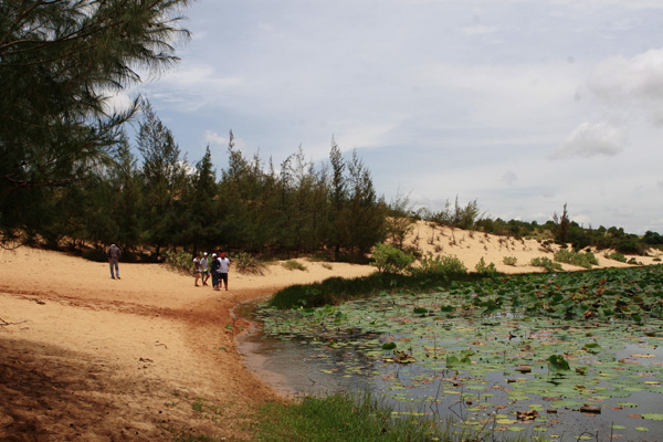 lang-man-bau-sen-phan-thiet-4