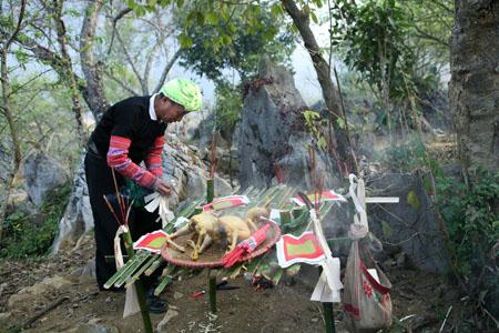 le-hoi-nao-song-gau-tao-cua-nguoi-mong-1