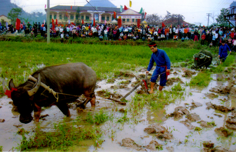 le-hoi-xuong-dong-cua-ba-con-yen-binh-1