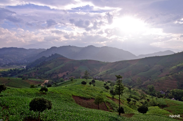 len-ngon-suoi-giang-ngam-che-co-thu-3