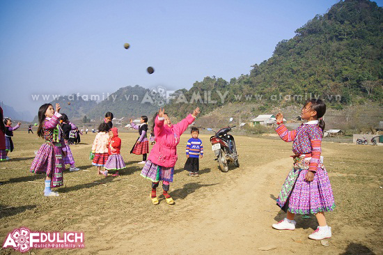 len-tay-bac-ngam-hoa-dao-khoe-sac-don-tet-nguoi-mong-15