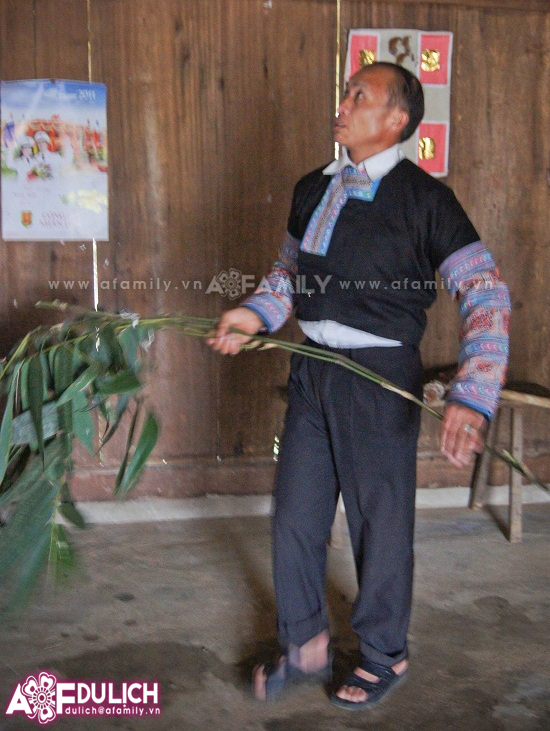 len-tay-bac-ngam-hoa-dao-khoe-sac-don-tet-nguoi-mong-6