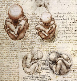 leonardo-da-vinci-1452-1519-4