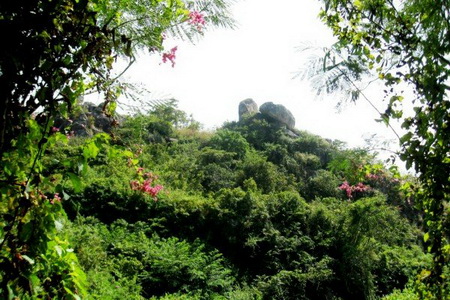 luu-y-khi-du-lich-nui-sam-o-chau-doc-an-giang-1