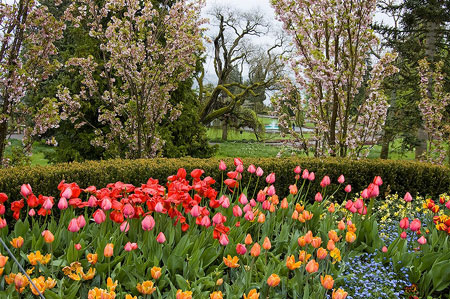 mainau-dao-hoa-tu-nhien-doc-nhat-vo-nhi-3