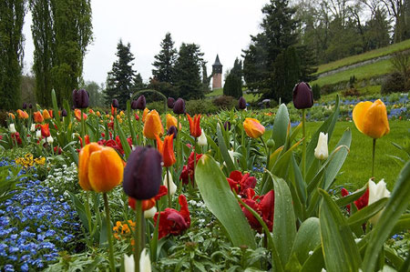 mainau-dao-hoa-tu-nhien-doc-nhat-vo-nhi-7