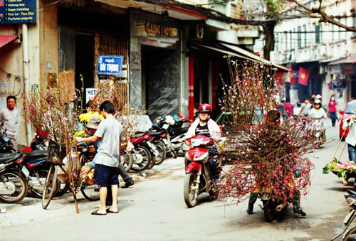 mua-thu-ha-noi-lang-man-nhu-tho-voi-nhung-xe-hoa-23