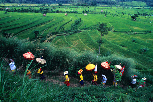 mua-thu-va-nhung-trai-nghiem-thu-vi-o-bali-2