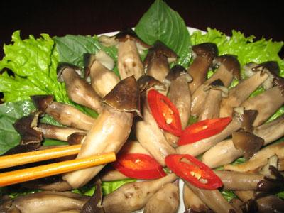 nam-moi-huong-vi-van-vuong-cua-xu-dua-1