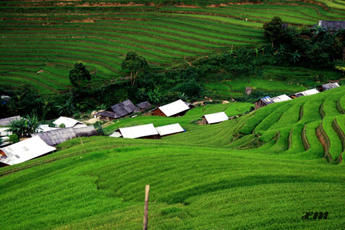 ngam-nac-thang-len-thien-duong-o-mu-cang-chai-1