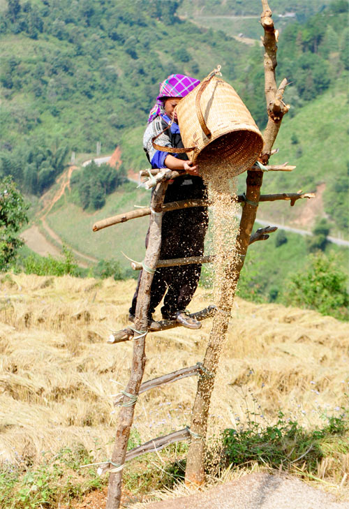 ngam-nac-thang-len-thien-duong-o-mu-cang-chai-15