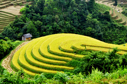 ngam-nac-thang-len-thien-duong-o-mu-cang-chai-2