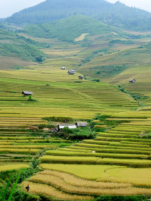 ngam-nac-thang-len-thien-duong-o-mu-cang-chai-3