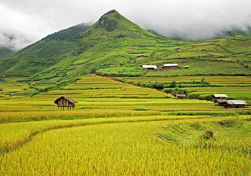 ngam-nac-thang-len-thien-duong-o-mu-cang-chai-6