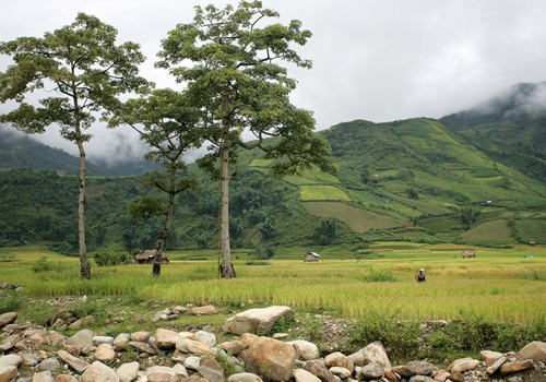 ngam-nac-thang-len-thien-duong-o-mu-cang-chai-8