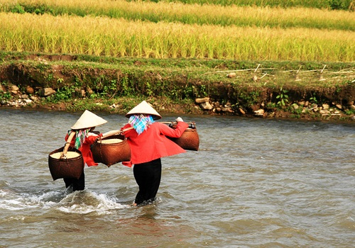 ngam-nac-thang-len-thien-duong-o-mu-cang-chai-9