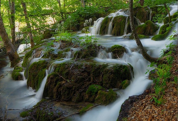 ngam-thien-nhien-tuyet-my-cua-ho-than-tien-plitvice-6