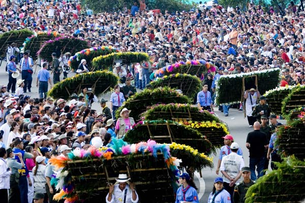 ngat-huong-le-hoi-gui-hoa-tren-duong-pho-7