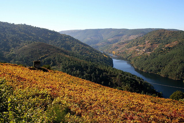 ngo-ngang-tien-canh-noi-hem-nui-ribeira-sacra-11