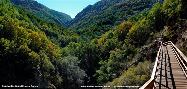 ngo-ngang-tien-canh-noi-hem-nui-ribeira-sacra-15