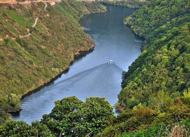 ngo-ngang-tien-canh-noi-hem-nui-ribeira-sacra-6