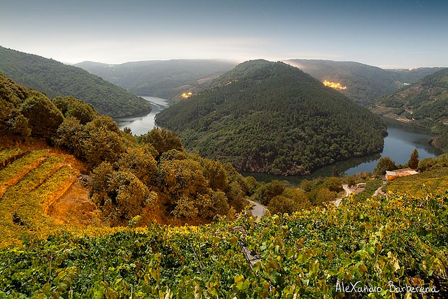 ngo-ngang-tien-canh-noi-hem-nui-ribeira-sacra-9