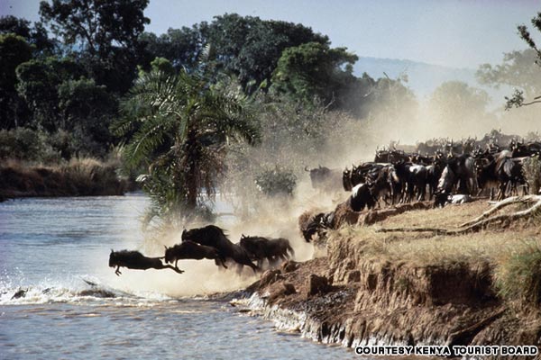 nhung-canh-tuong-hop-hon-nguoi-o-luc-dia-den-1