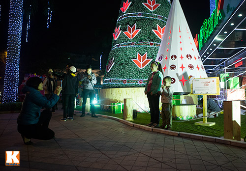 nhung-cay-thong-noel-2013-long-lay-nhat-ha-noi-18