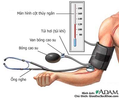 nhung-dang-tang-huyet-ap-phuc-tap-2