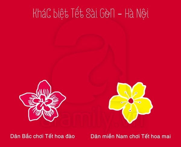 nhung-diem-khac-biet-giua-ngay-tet-o-sai-gon-ha-noi-3