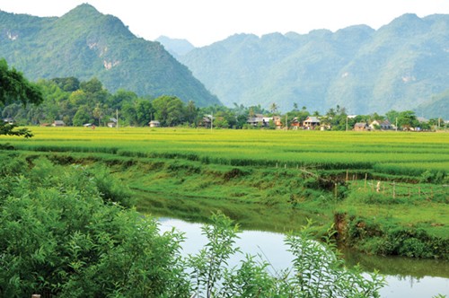 nhung-diem-trekking-ngoan-muc-o-viet-nam-1