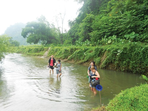 nhung-diem-trekking-ngoan-muc-o-viet-nam-3