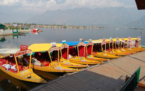 nhung-dieu-me-hoac-o-co-tran-srinagar-3