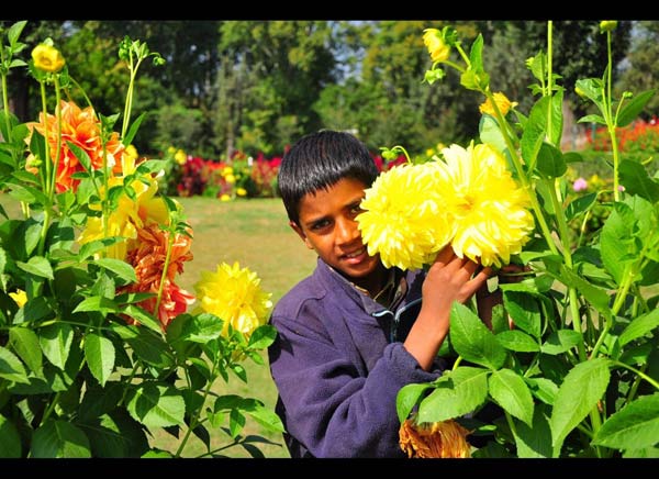 nhung-dieu-me-hoac-o-co-tran-srinagar-6