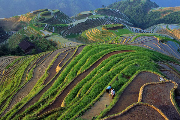 nhung-ruong-bac-thang-chau-a-hut-khach-du-lich-2