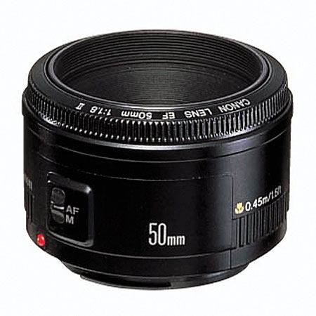 nikon-va-canon-lua-chon-he-may-nao-8