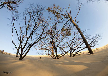 pyla-con-cat-cao-nhat-chau-au-6