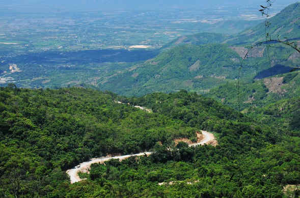 quanh-co-duong-deo-ngoan-muc-ninh-thuan-2