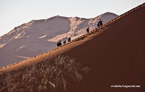 sa-mac-namib-nhung-duong-cong-tuyet-my-cua-thien-nhien-4