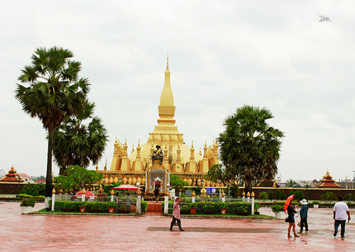 sac-vang-tuyet-dep-o-pha-that-luang-1