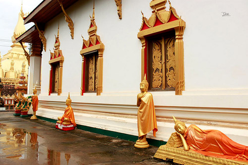 sac-vang-tuyet-dep-o-pha-that-luang-14