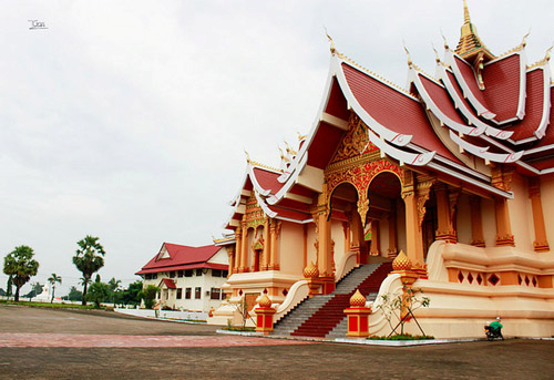 sac-vang-tuyet-dep-o-pha-that-luang-5