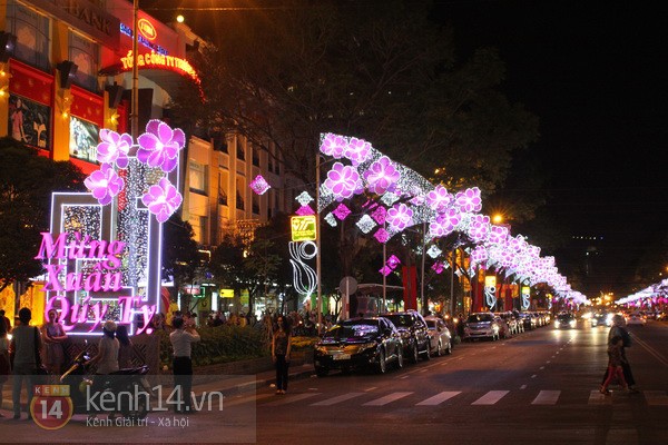 sai-gon-lung-linh-nhung-con-duong-mung-xuan-moi-17