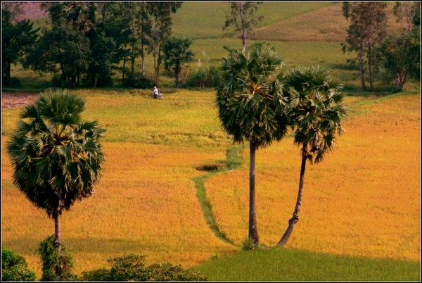 say-long-ve-dep-binh-di-xu-an-giang-8