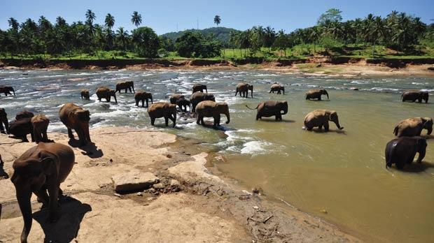 sri-lanka-diem-den-tuyet-voi-nhat-nam-2013-3