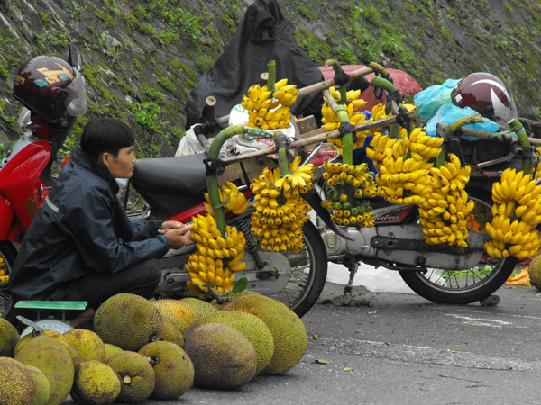 suc-quyen-ru-cua-thi-tran-trong-may-tam-dao-2